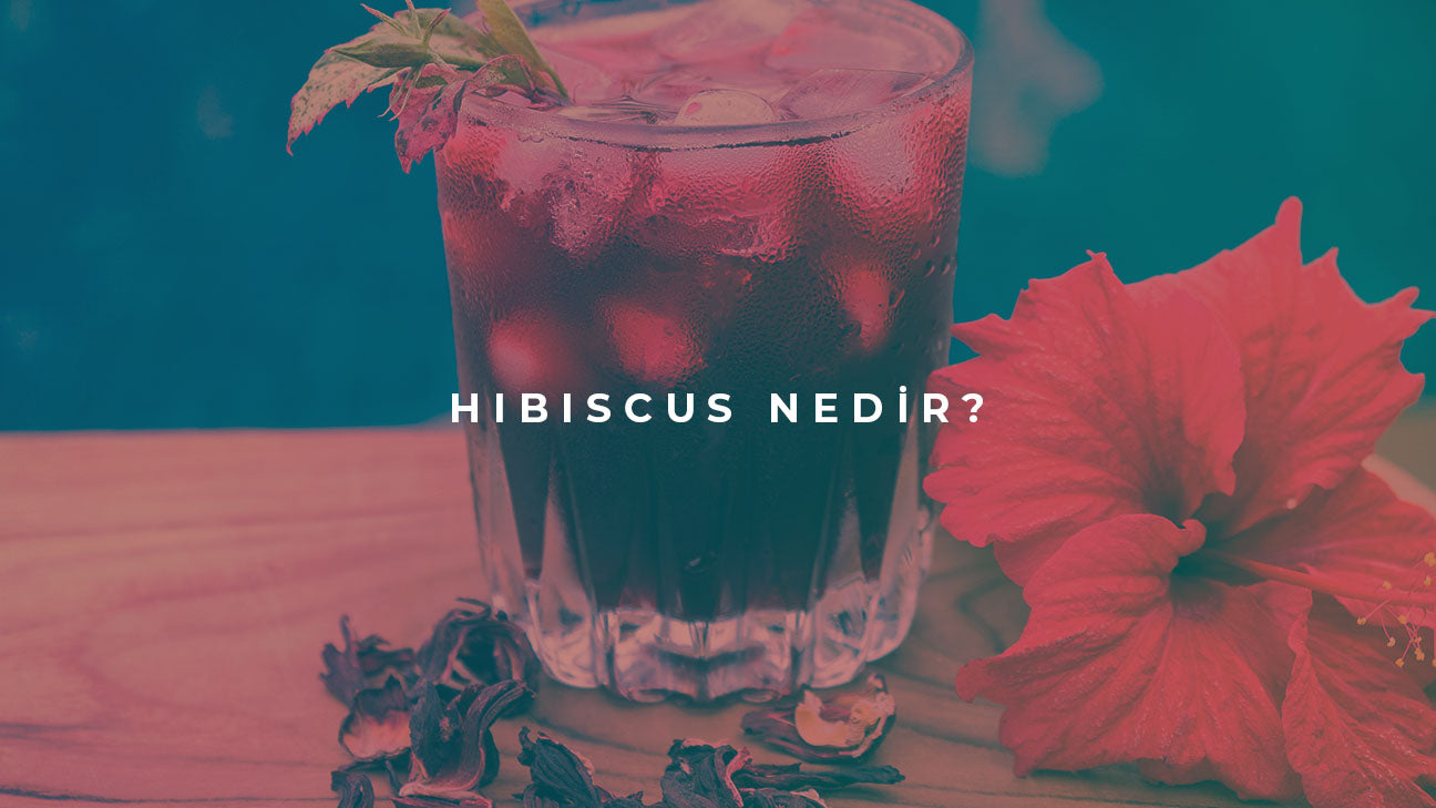 Hibiscus Nedir?