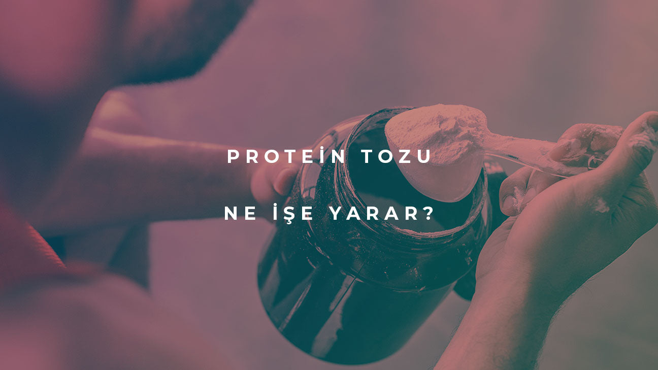 protein tozu ne işe yarar
