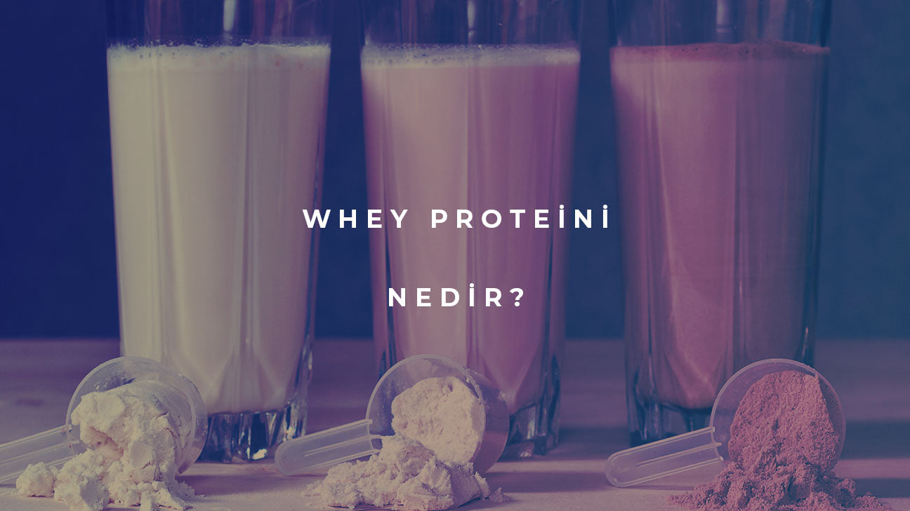 whey proteini nedir