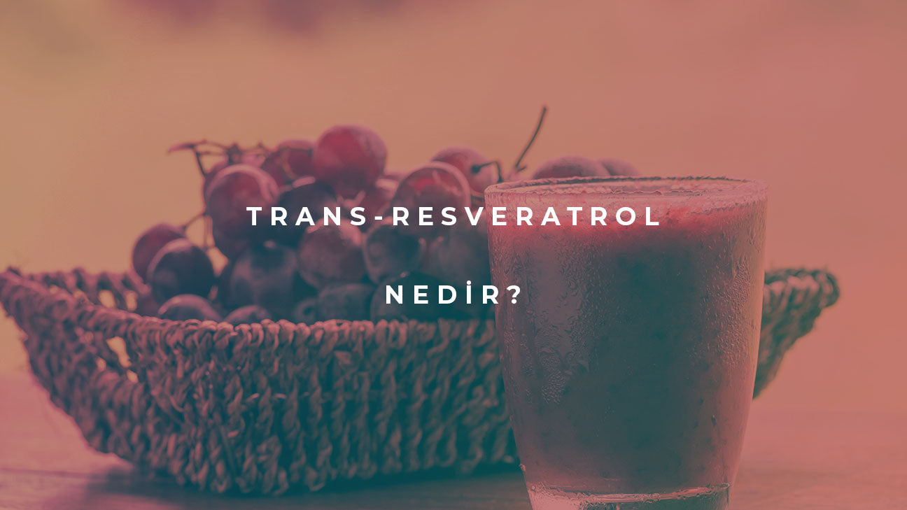 Trans-Resveratrol Nedir?