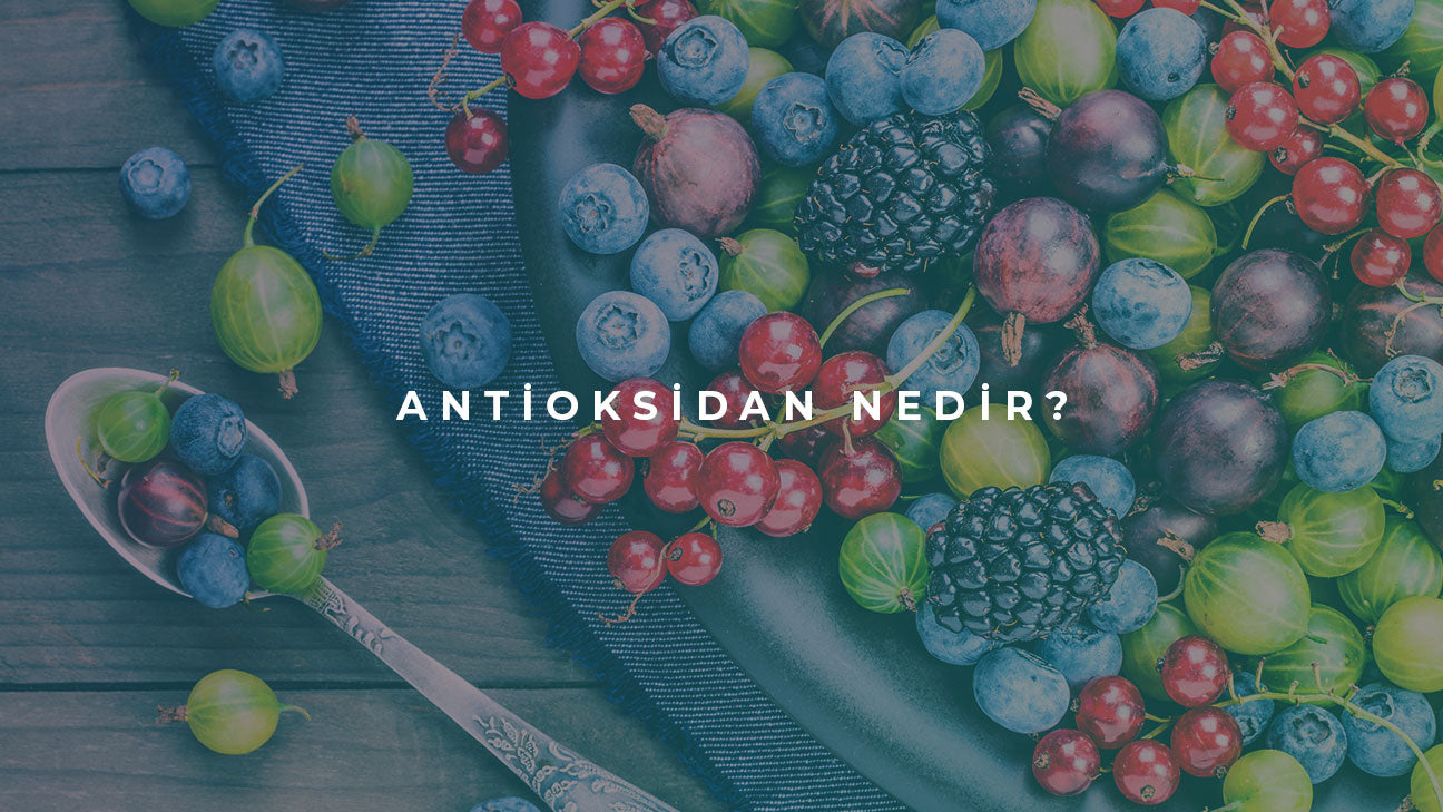 Antioksidan nedir?