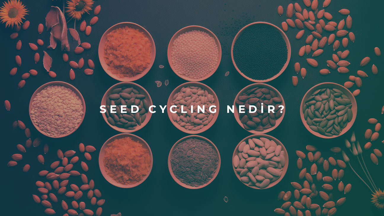 seed cycling nedir