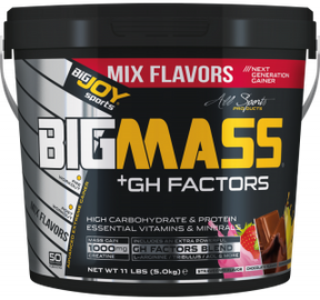 BigJoy Sports BIGMASS Gainer GH FACTORS Mix Aroma 5000 g