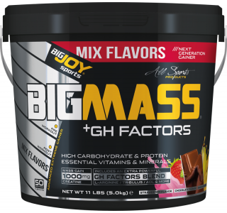 BigJoy Sports BIGMASS Gainer GH FACTORS Mix Aroma 5000 g