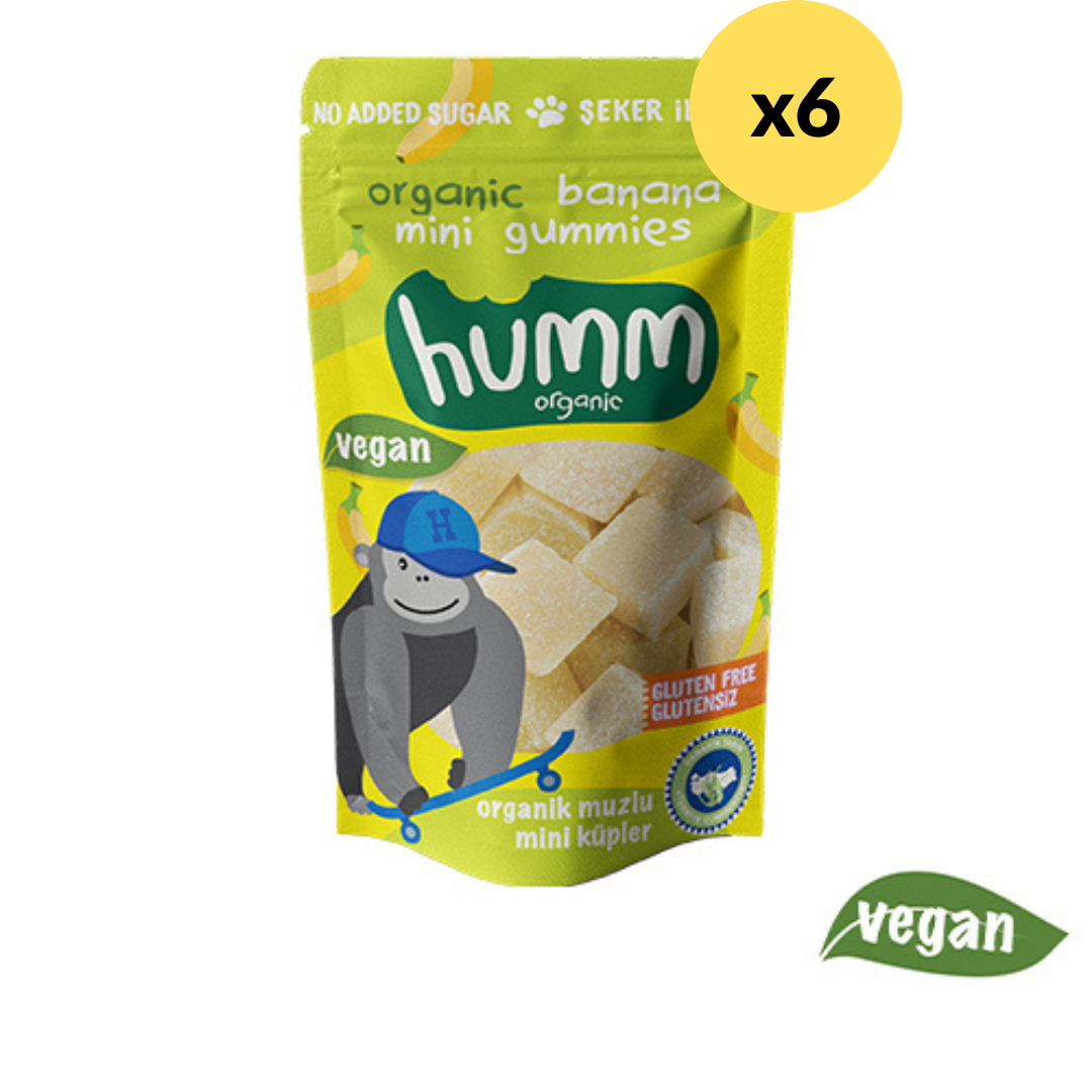Humm Organic Glutensiz Vegan Muzlu Mini Küpler 30 g 6'lı Paket